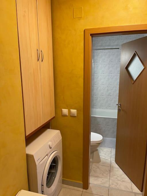 Apartment Superb Intr-O Locatie Premium Тимишоара Экстерьер фото